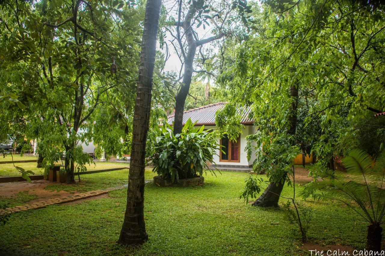 The Calm Cabana Dambulla Esterno foto