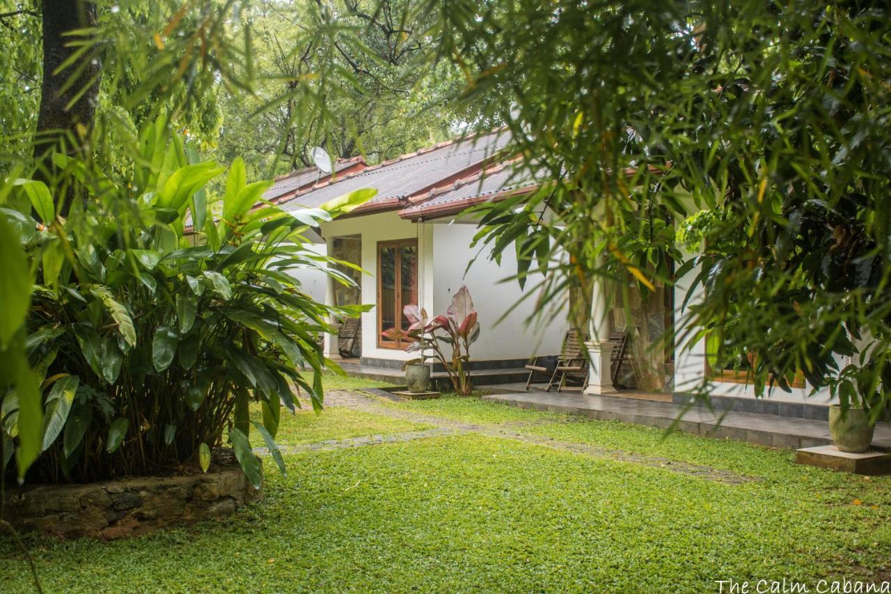 The Calm Cabana Dambulla Esterno foto