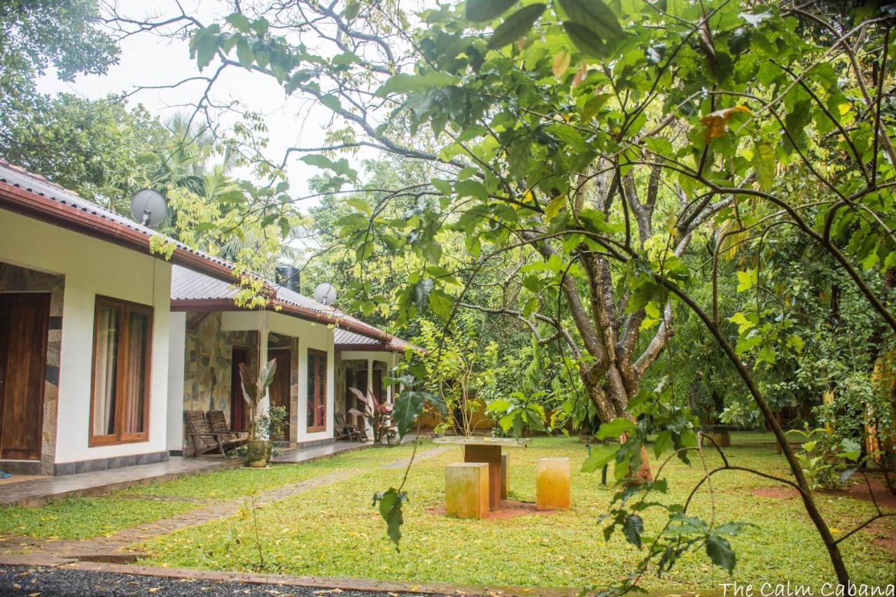 The Calm Cabana Dambulla Esterno foto