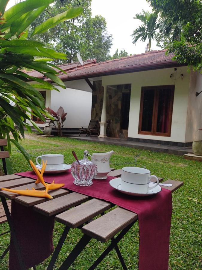The Calm Cabana Dambulla Esterno foto